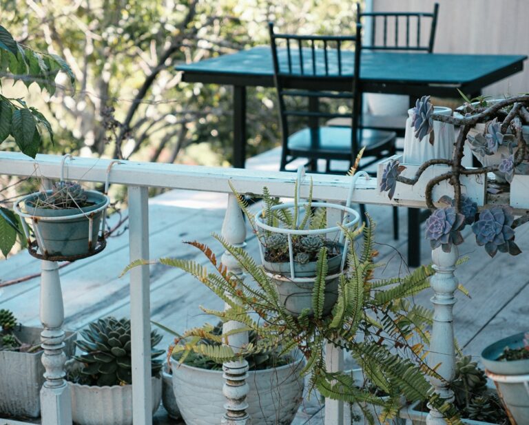 Pergola trellis climbing