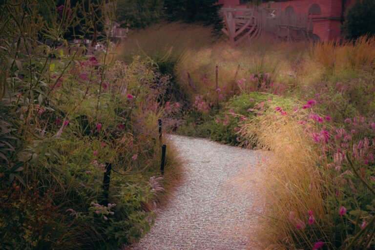 Rustic garden path gravel stone plants