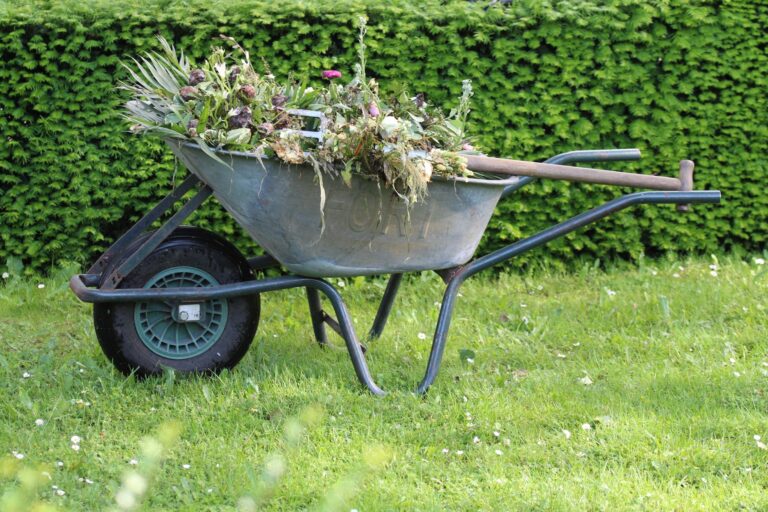 Wheelbarrow person lifting