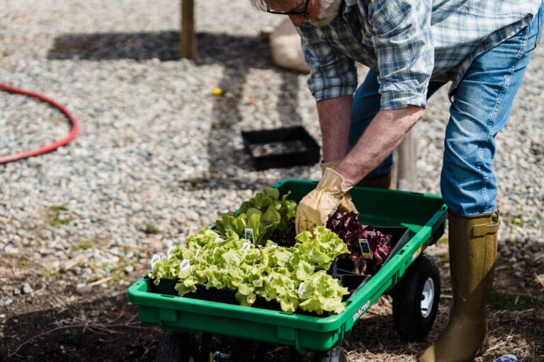 Person using garden