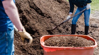 Safe lifting in the yard and veg patch: protect your back while you work