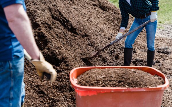 Safe lifting in the yard and veg patch: protect your back while you work