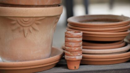 Scented corners: how to grow a fragrant flower garden in small spaces