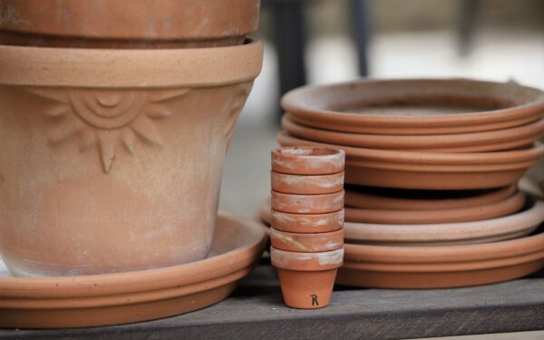 Scented corners: how to grow a fragrant flower garden in small spaces