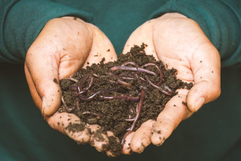 Balcony compost bin