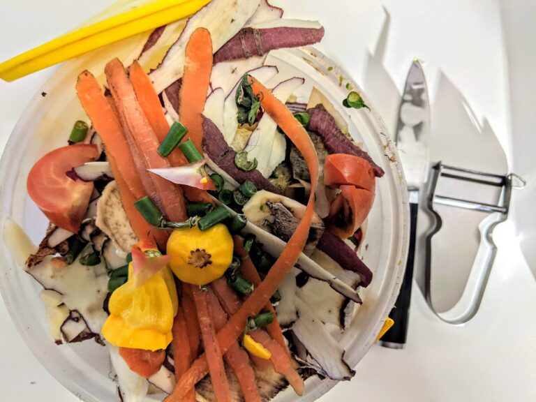 Backyard compost bin