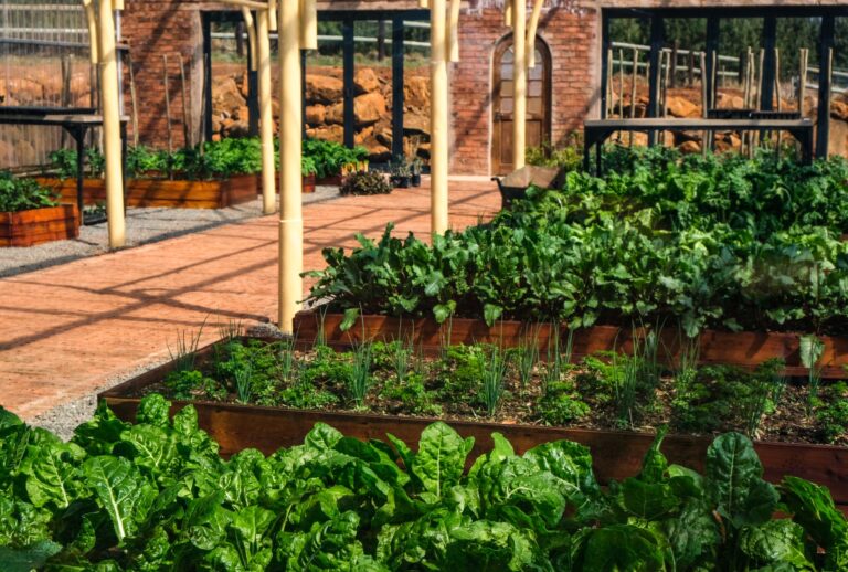 Raised vegetable beds