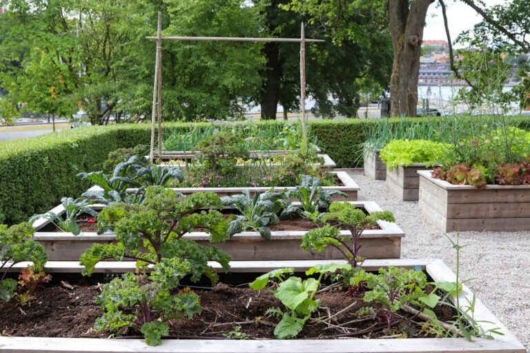 Small raised bed