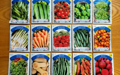 Simple direct sowing tips that help beginners succeed from seed