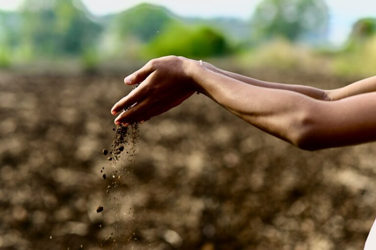 Vegetable bed hand
