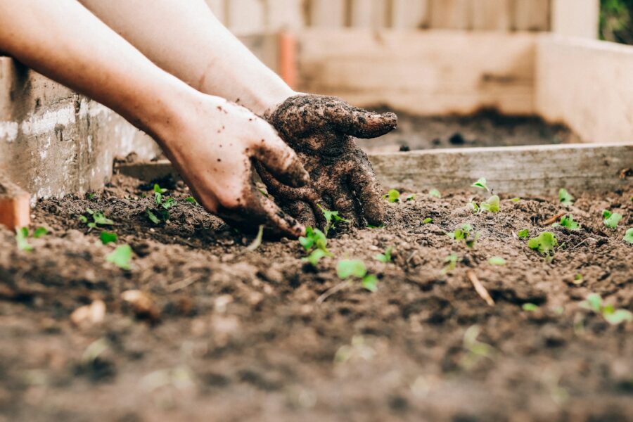 Vegetable bed hand
