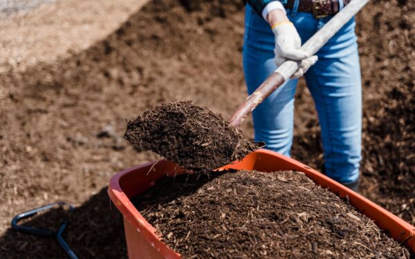 Simple organic matter upgrades that quietly improve your soil