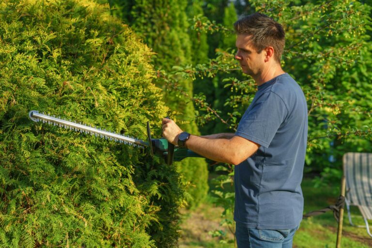 Backyard hedge trimming loppers compost pile woody prunings