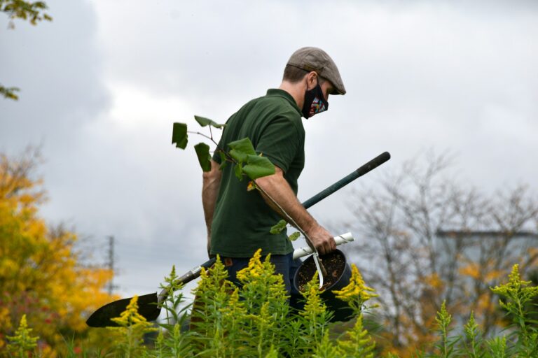 Home gardener pruning hedge pruning saw cutting tree