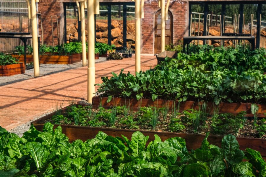 Raised vegetable bed