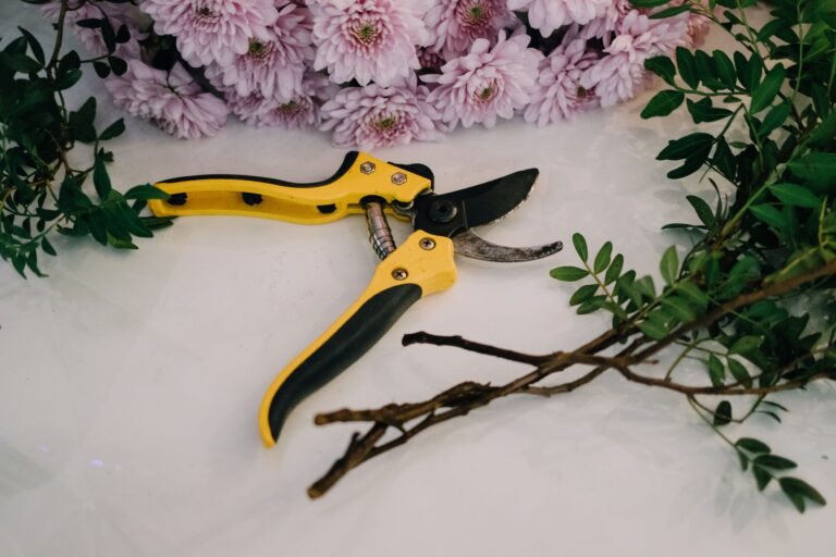 Hand pruning shears