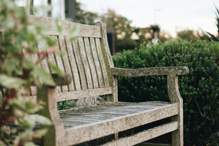 Clean gardening tools