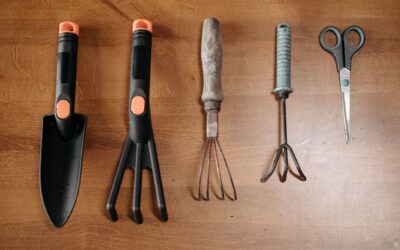 Simple tool care tips that keep home gardens running smoothly