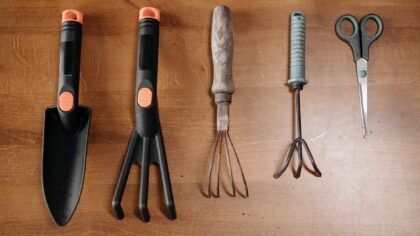 Simple tool care tips that keep home gardens running smoothly