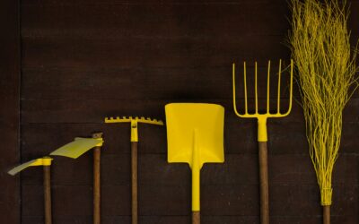 Simple tool maintenance tips that keep home plots easier to care for