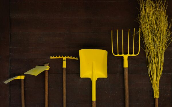 Simple tool maintenance tips that keep home plots easier to care for