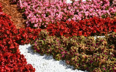 Simple watering habits that prevent underwatering without wasting water