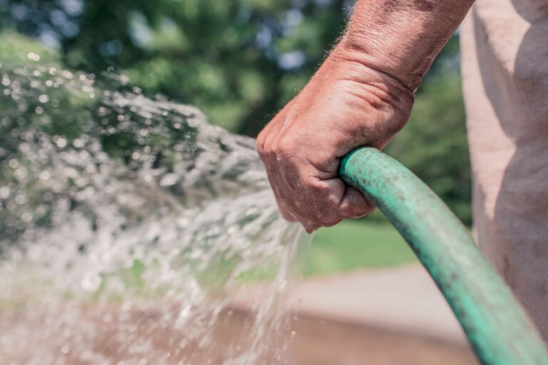 Hand watering flower