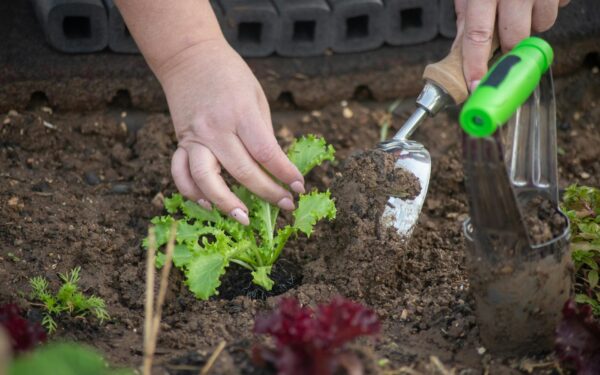 Simple weeding strategies that keep your beds clear without constant effort