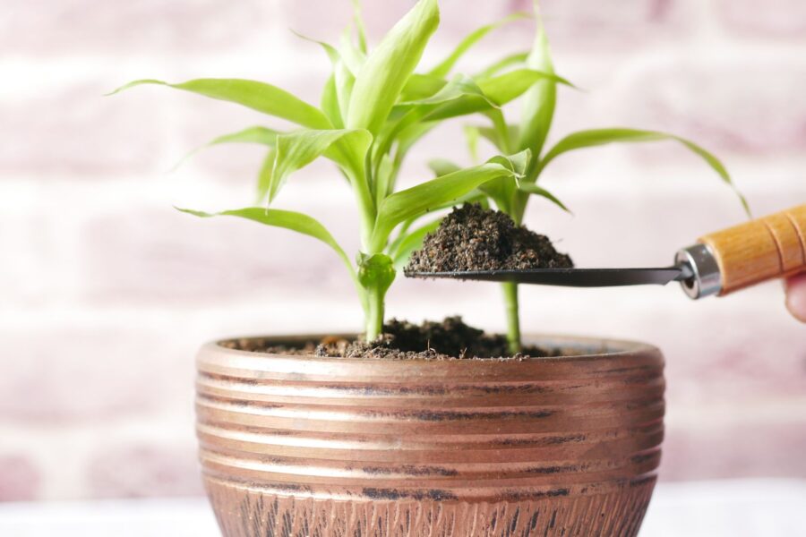 Slow release fertilizer