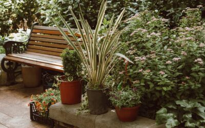 Small garden seating ideas that make limited space feel generous