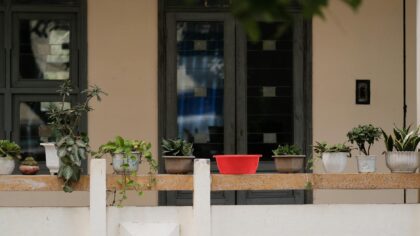 Smart container garden design for small patios and balconies