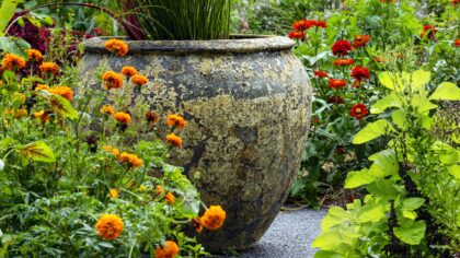 Smart pairings for pepper beds: vegetables and flowers that thrive together