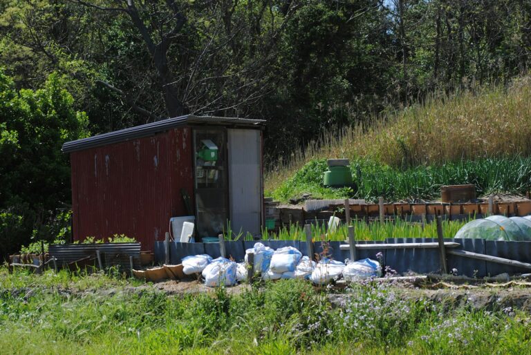 Rain barrel garden