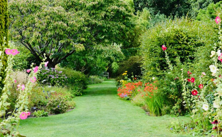 Mixed garden border