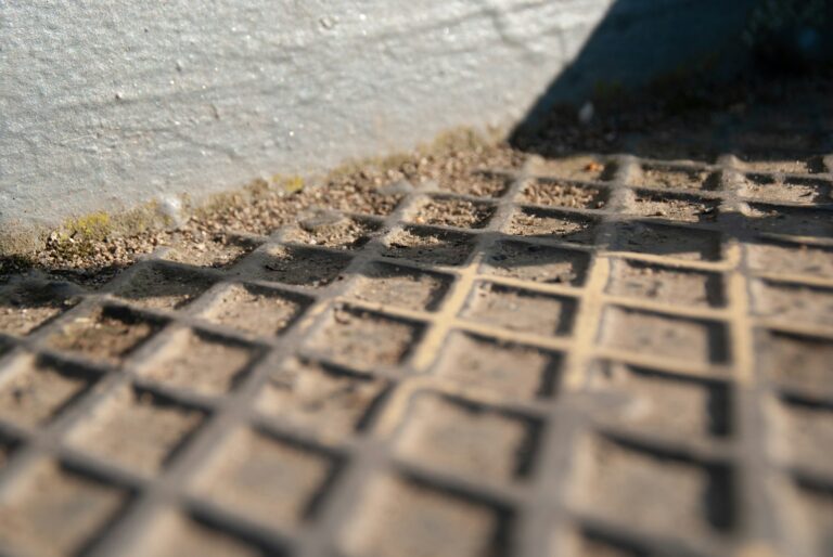 Square foot planting