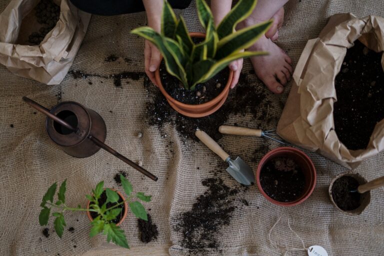 Watering indoor plants