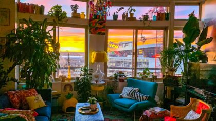 Summer indoor plant care: how to help your greenery handle heat and long days