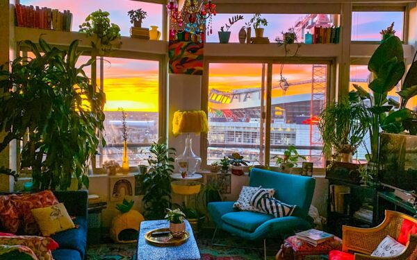 Summer indoor plant care: how to help your greenery handle heat and long days