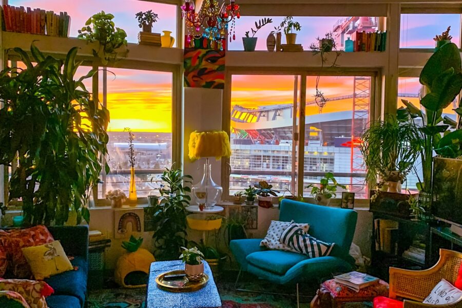 Indoor plants summer