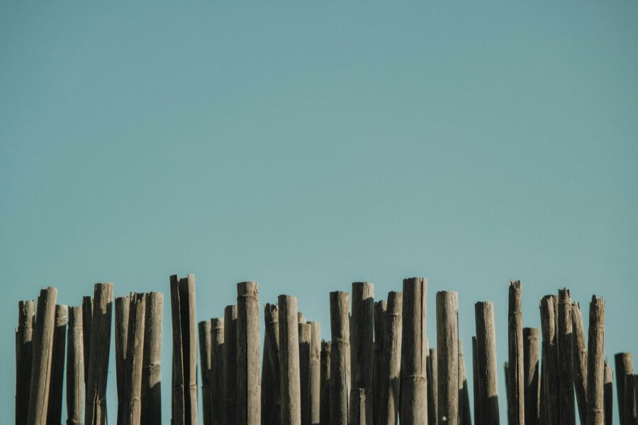 Vegetable trellis pole