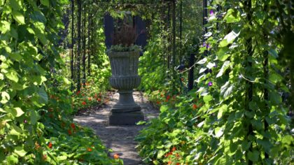 Trellis designs that add height, privacy and character to your garden