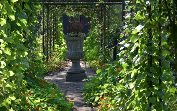 Trellis designs that add height, privacy and character to your garden
