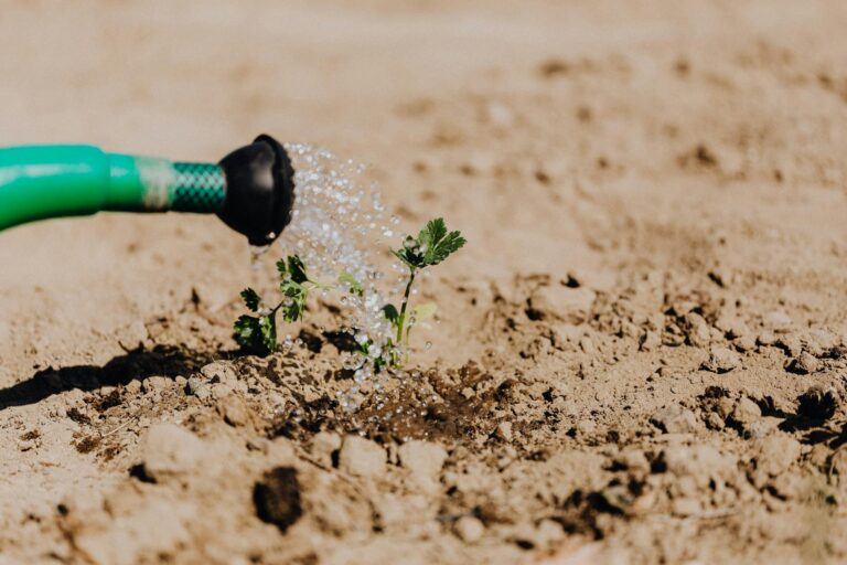 Watering can soil