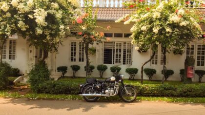 Welcoming driveway gardens that soften hard edges and add curb appeal