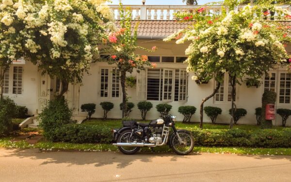 Welcoming driveway gardens that soften hard edges and add curb appeal