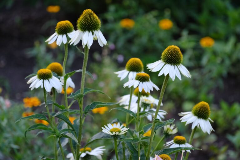 Flower garden border