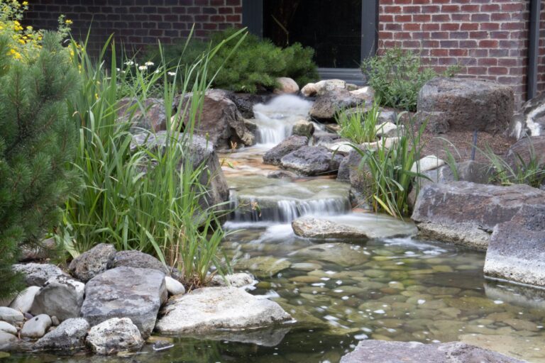 Small pond garden