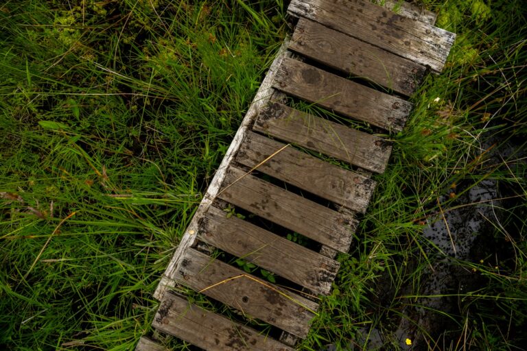Raised wooden boardwalk