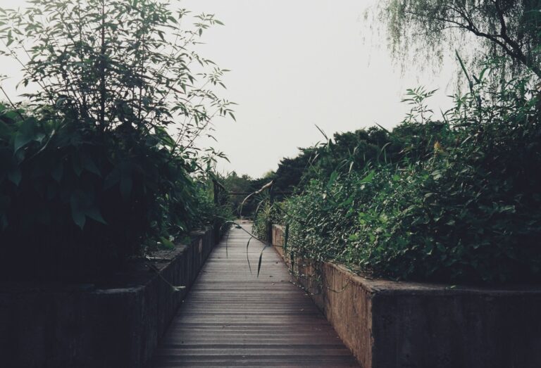 Wooden garden path