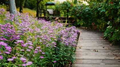Wooden garden paths that add warmth, rhythm and easy access to any yard